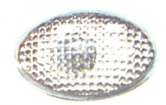 Clignotant