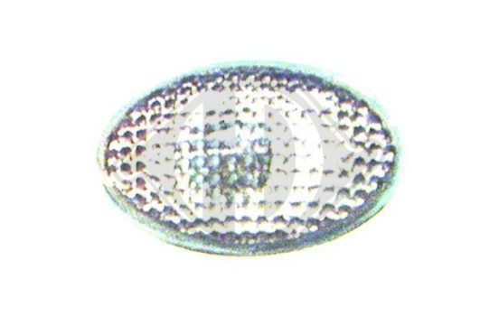Clignotant, Image 2