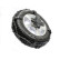 Spikes Spider Easy Alpine Pro 5