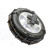 Spikes Spider Easy Sport 1