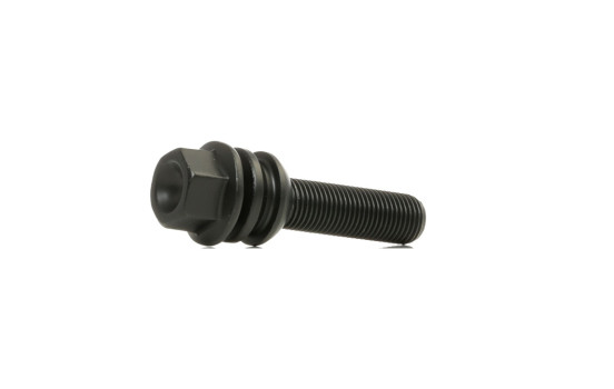 Tornillos de rueda Eibach 10 piezas