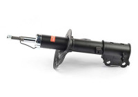 Amortiguador BSG 40-300-045