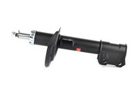 Amortiguador BSG 65-300-007