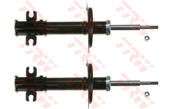 Amortiguador JHM266T TRW, Imagen 2