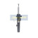 Amortiguador MM-00078 Japanparts