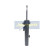 Amortiguador MM-00078 Japanparts, Miniatura 3