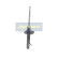 Amortiguador MM-00119 Japanparts, Miniatura 6