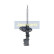Amortiguador MM-00161 Japanparts, Miniatura 5