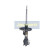 Amortiguador MM-00162 Japanparts, Miniatura 4