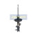 Amortiguador MM-00354 Japanparts, Miniatura 4