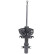 Amortiguador MM-00402 Japanparts, Miniatura 2