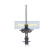 Amortiguador MM-00402 Japanparts, Miniatura 4