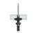 Amortiguador MM-00480 Japanparts
