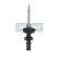Amortiguador MM-00480 Japanparts, Miniatura 3