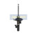 Amortiguador MM-00604 Japanparts