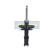 Amortiguador MM-00605 Japanparts, Miniatura 4