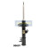 Amortiguador MM-00607 Japanparts