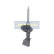 Amortiguador MM-00684 Japanparts, Miniatura 2