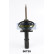 Amortiguador MM-00739 Japanparts, Miniatura 4