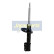 Amortiguador MM-00962 Japanparts, Miniatura 2
