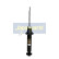 Amortiguador MM-00971 Japanparts