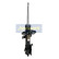 Amortiguador MM-01083 Japanparts, Miniatura 4