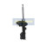 Amortiguador MM-10039 Japanparts, Miniatura 2