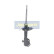 Amortiguador MM-29950 Japanparts, Miniatura 2