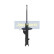 Amortiguador MM-40028 Japanparts, Miniatura 4