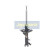Amortiguador MM-40051 Japanparts, Miniatura 4