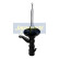 Amortiguador MM-40056 Japanparts, Miniatura 3