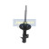 Amortiguador MM-50004 Japanparts, Miniatura 2