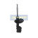 Amortiguador MM-50004 Japanparts, Miniatura 3