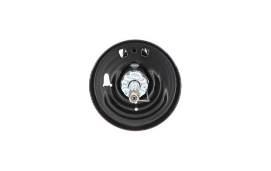 Amortiguador SSA-10221 Kavo parts, Imagen 3