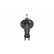 Amortiguador SSA-10335 Kavo parts