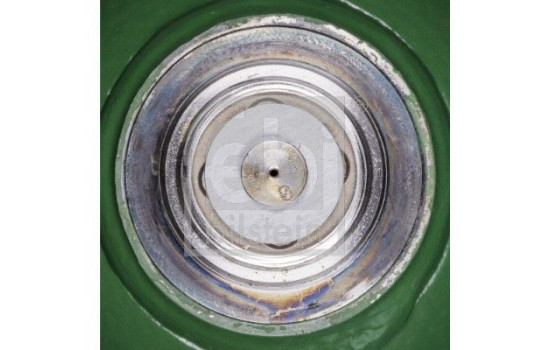 pelota de primavera, Imagen 3