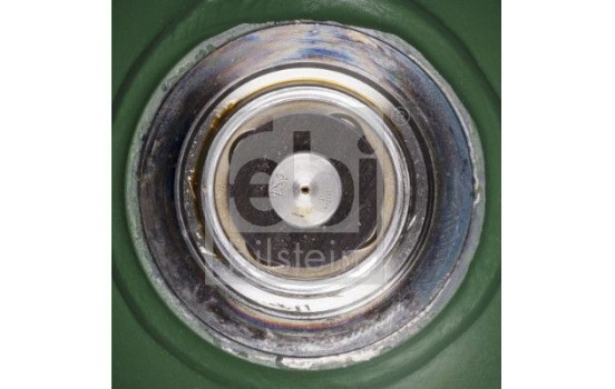 pelota de primavera, Imagen 3