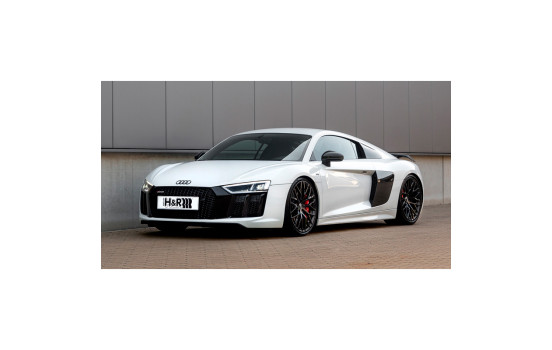 Kit de amortiguadores monotubo H&R apto para Audi R8 Coupé y Spyder (4WD) solo con suspensión adaptativa 2, Imagen 2