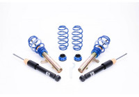Kit de suspensión roscada AP VW Beetle 10/2011 - diámetro del puntal 55mm
