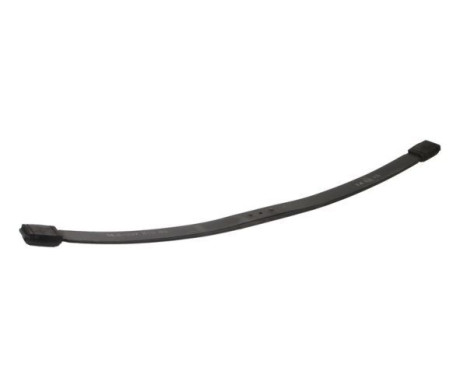 Hoja de pluma