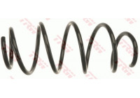 Muelle del chasis JCS1299 TRW