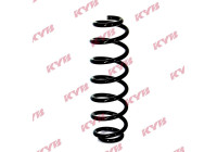 Muelle del chasis RA5504 Kayaba