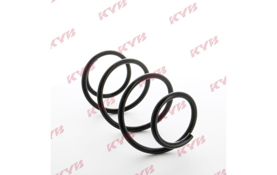 Muelle del chasis RH3032 Kayaba, Imagen 3
