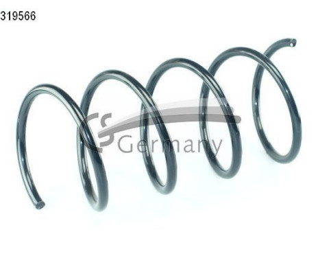 Muelle del chasis