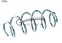 Muelle del chasis