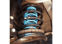 Juego de resortes auxiliares [Cargo]