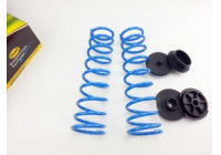 Juego de resortes auxiliares