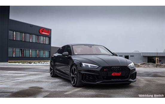 Chasis, muelles, Imagen 2