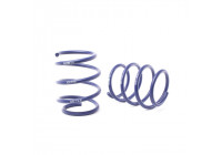 Muelles de descenso H&R Nissan Primastar y Opel Vivaro B 2WD 2014- VA40mm