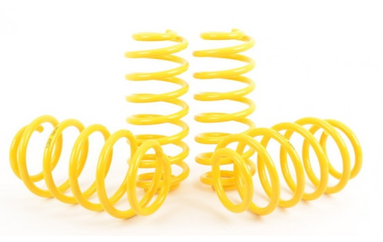 Muelles reductores de ST Suspensions